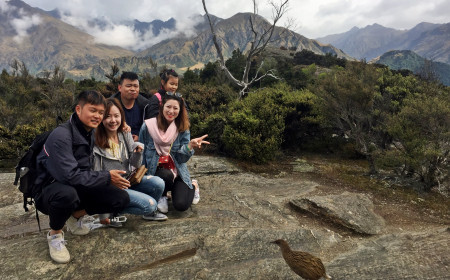 2.Close Encounters of the Bird KindMou Waho Island Lake WanakaTim CuthbertsonCruise Lake Wanaka Ltd