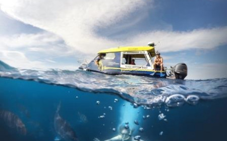 Judges Choice Winner Cathedral Cove Mermaid Te Whanganui A Hei Marine Reserve The Flying Kiwi By Peter May Glass Bottom Boat