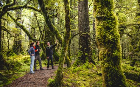 cascade creek fiordland miles holden.