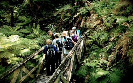 Active Adventures New Zealand Oh the Serenity Hump Ridge Track Fiordland by Alexandra Malcolm