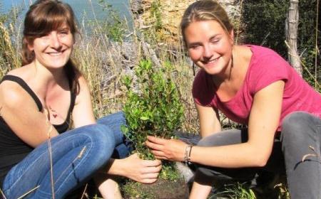 Eeco Wanaka Adventures Tree Planting visitors