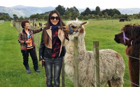 Kahikatea Gardens Chinese Visitors