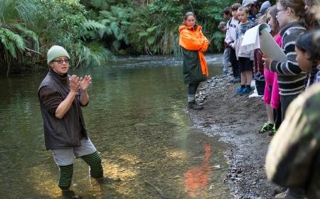 Zealandia Education Programme