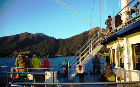 Real Journeys ForestBird Doubtful Sound Sept 2017